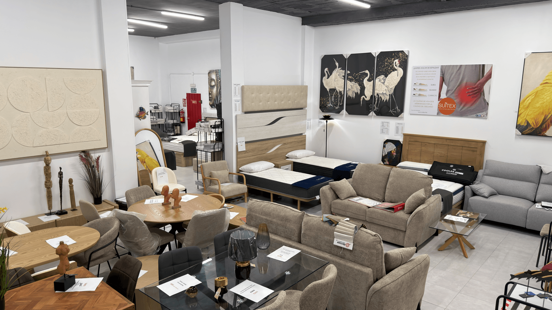 Bed-Sofa & Furniture Centre Showroom